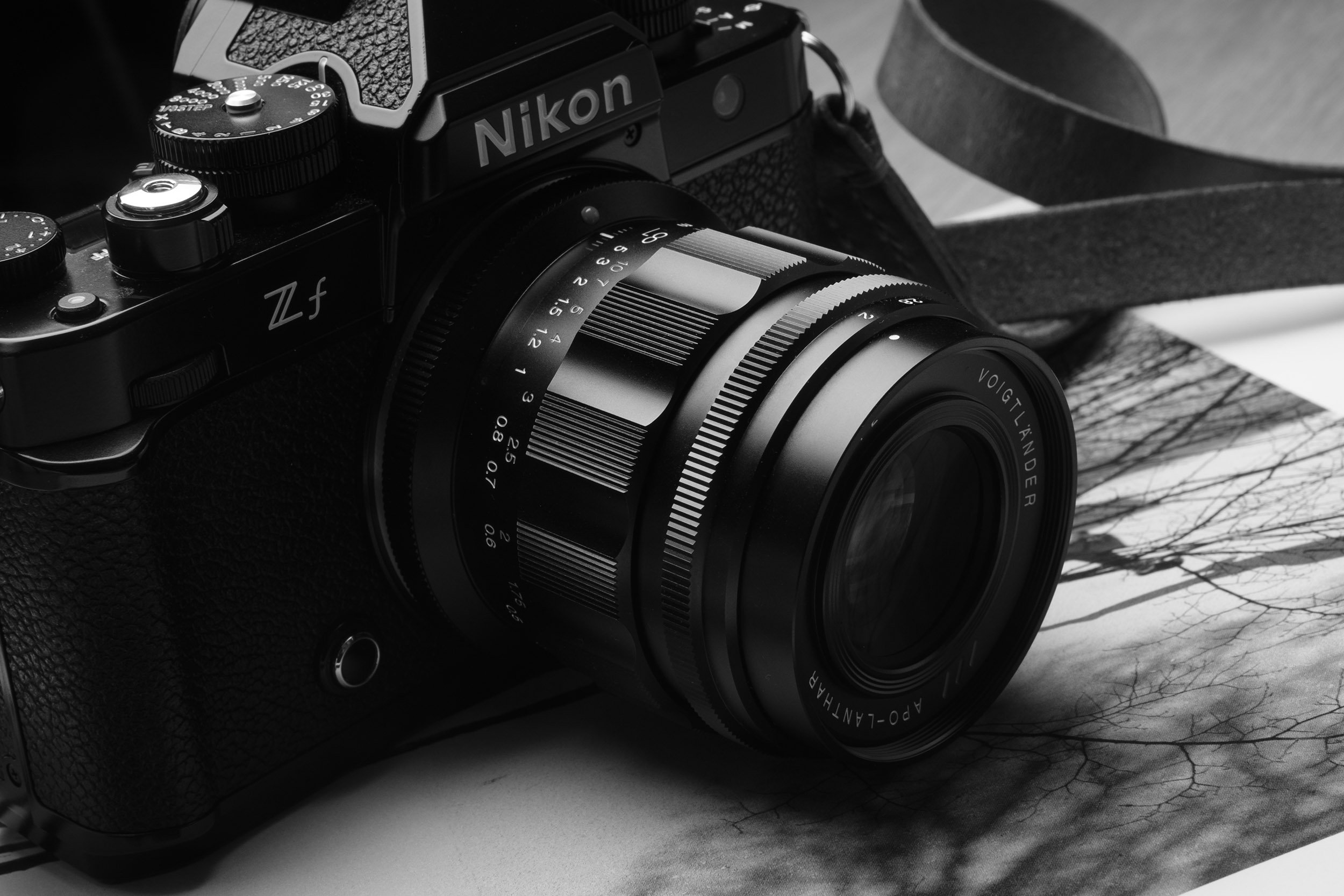 Voigtländer Apo-Lanthar 50mm f/2 for Z-Mount Review on the Nikon