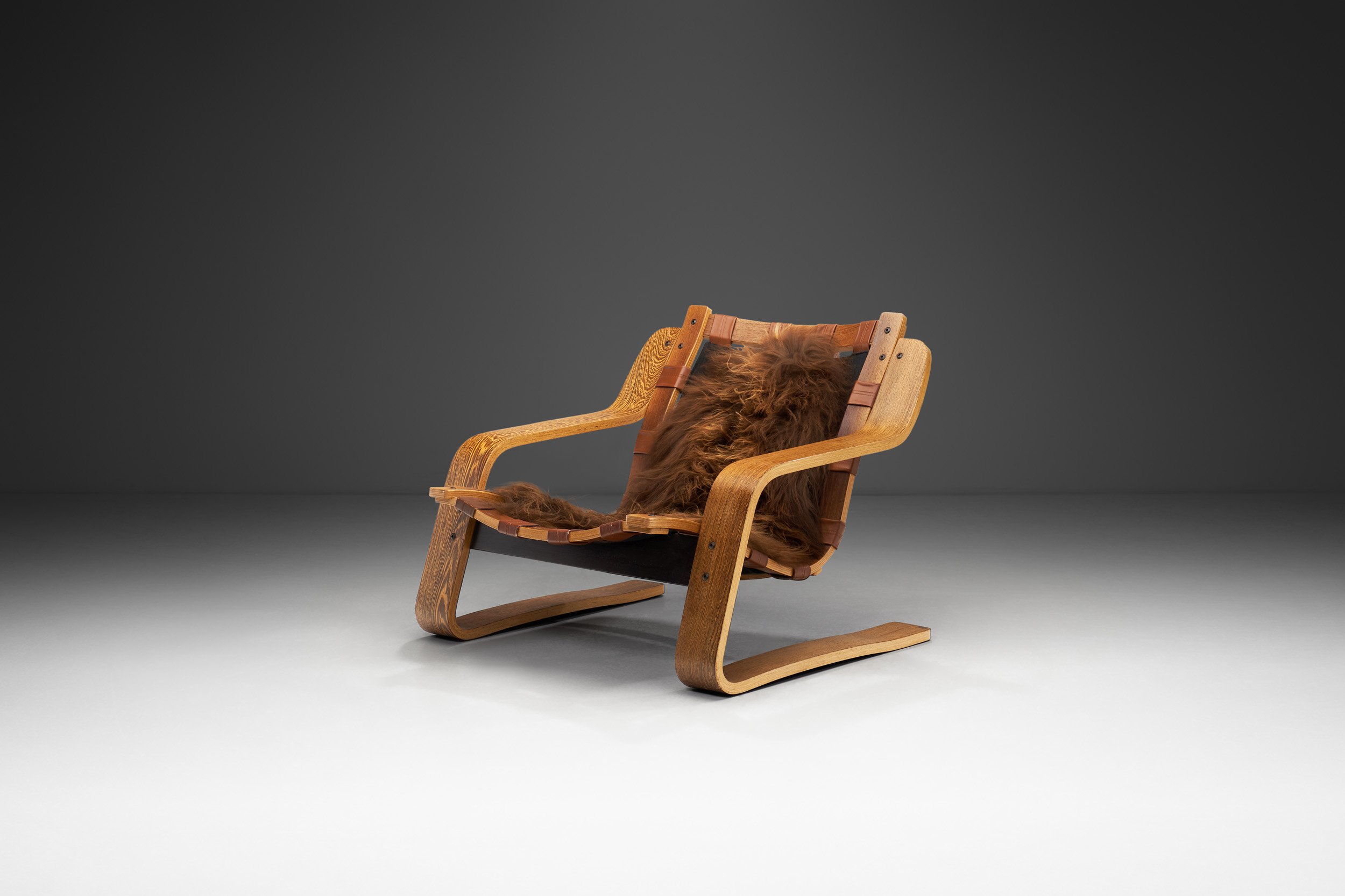 Sculptural Zebrano Plywood Lounge Chair, The Netherlands 1970s — H