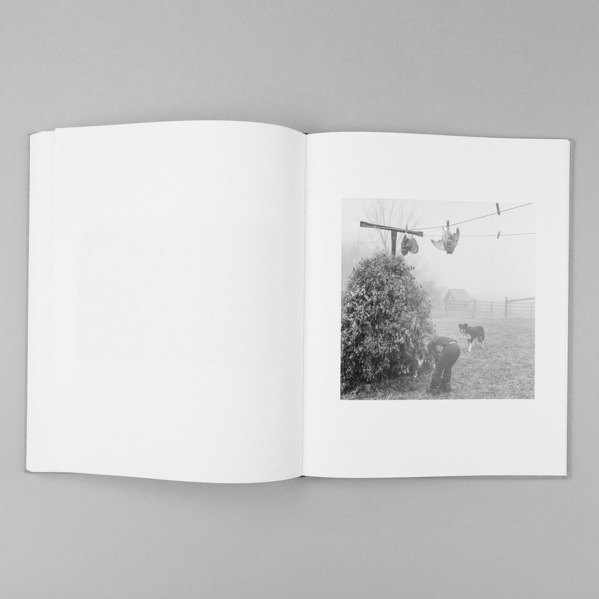 The Seraphim — Charcoal Press