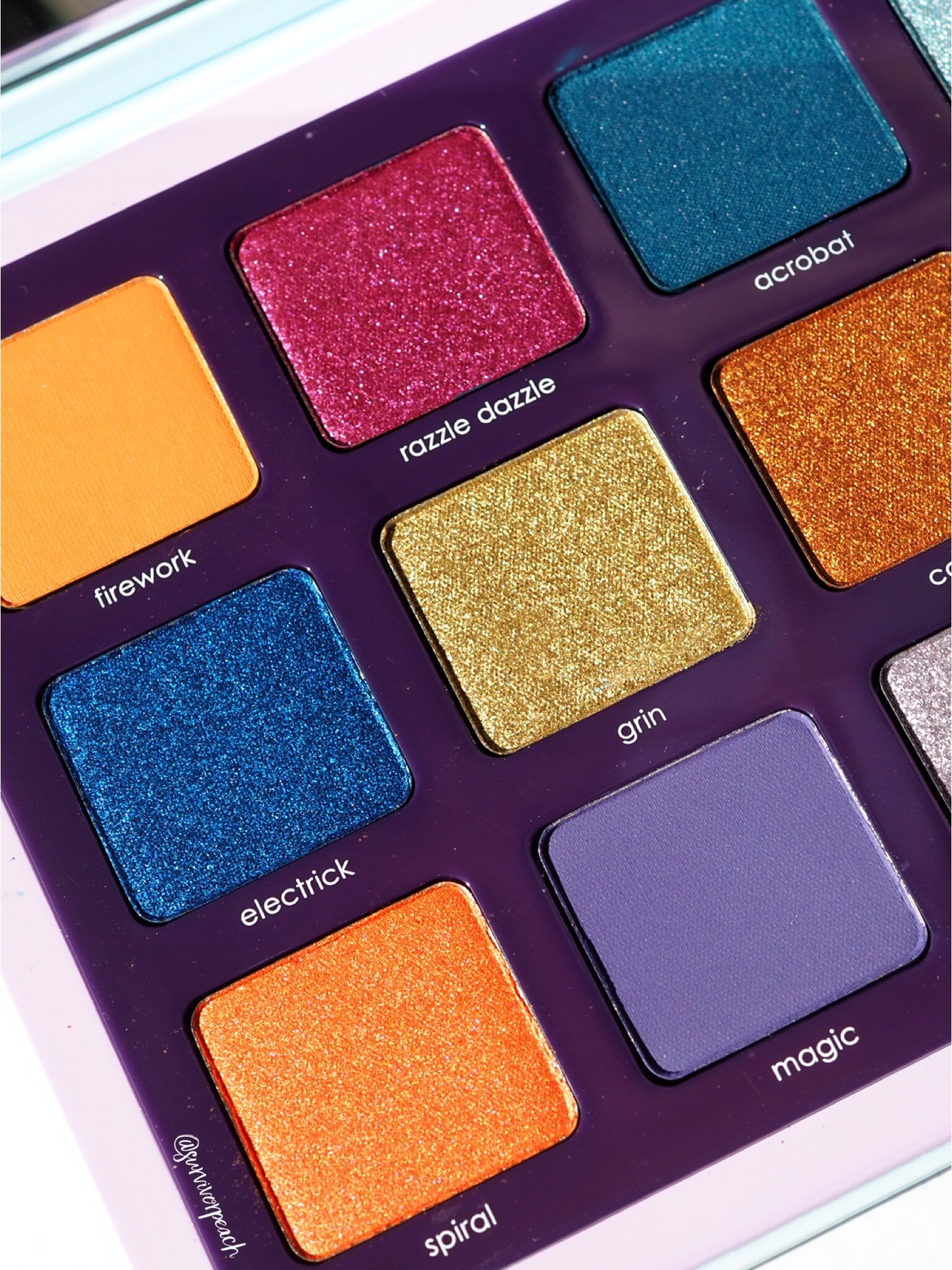 Natasha Denona Circo Loco Eyeshadow Palette Swatches — Survivorpeach