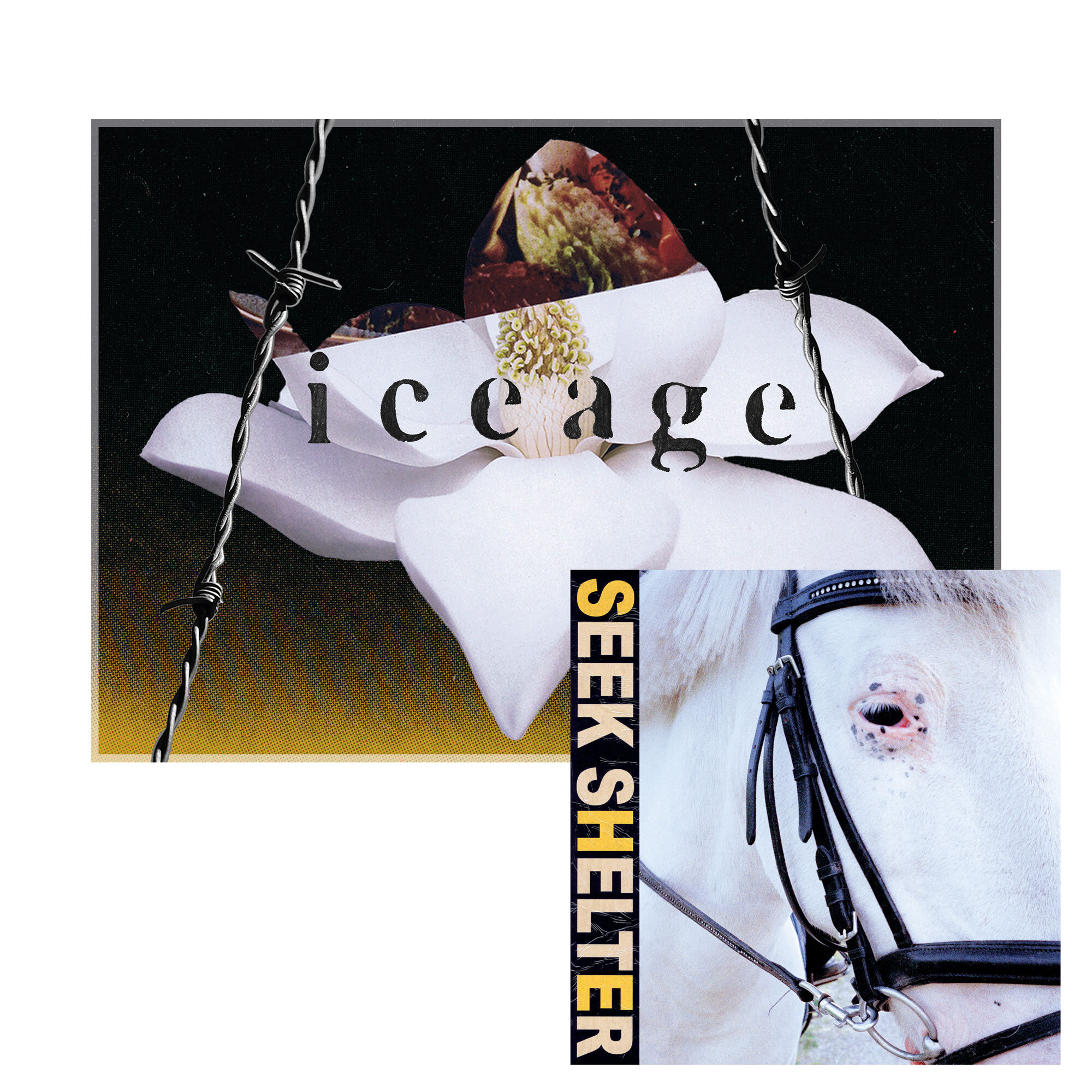 Iceage – Seek Shelter | Vinyl/CD — Escho