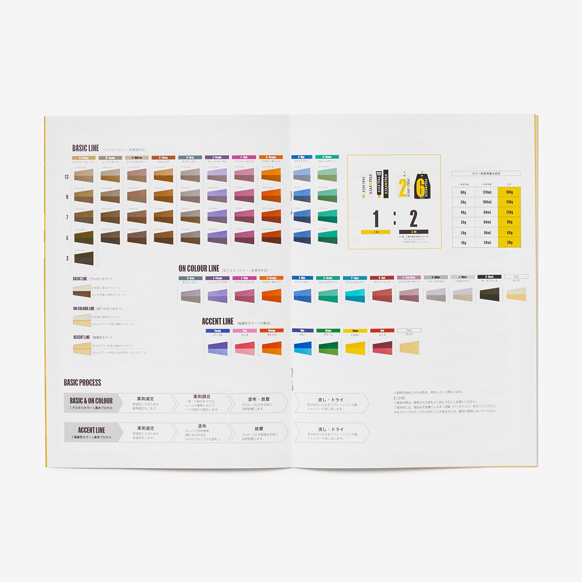 KIRA TERA Branding tool by Aries Moross — The Bee's Knees