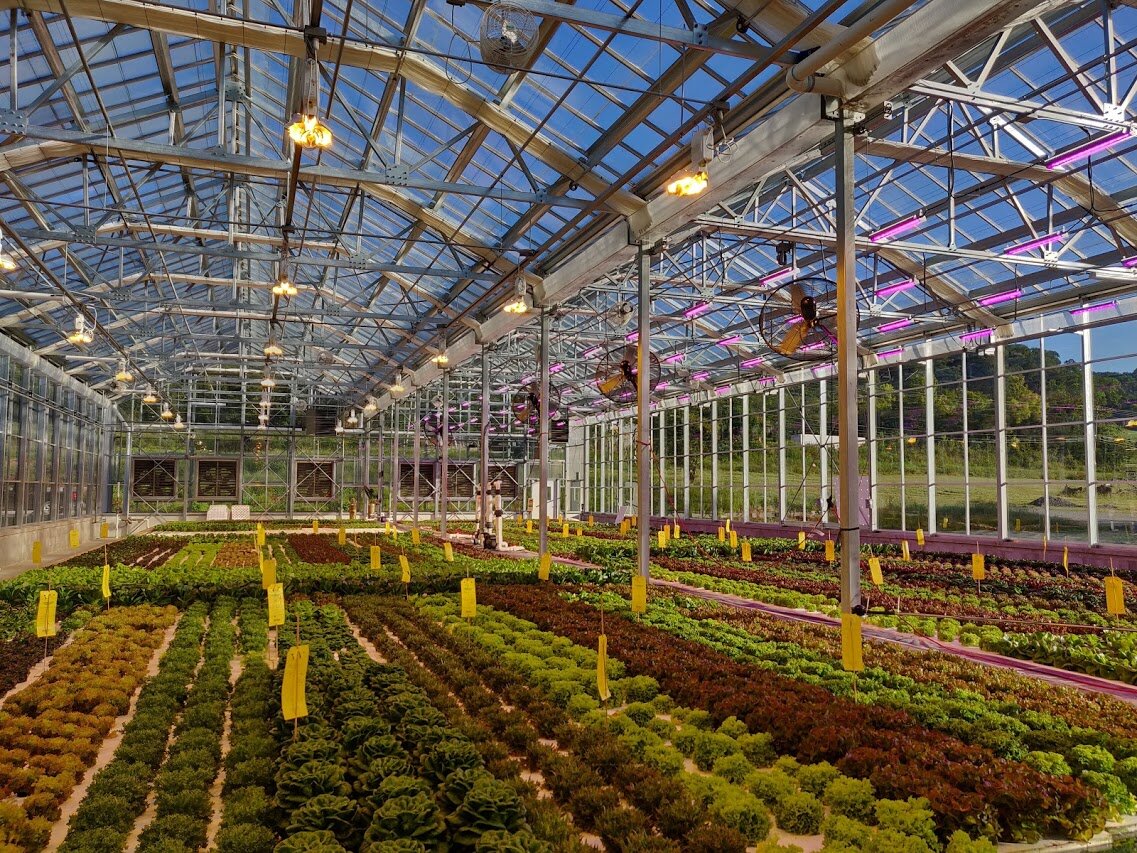 Greener Roots Farm-Our Farm