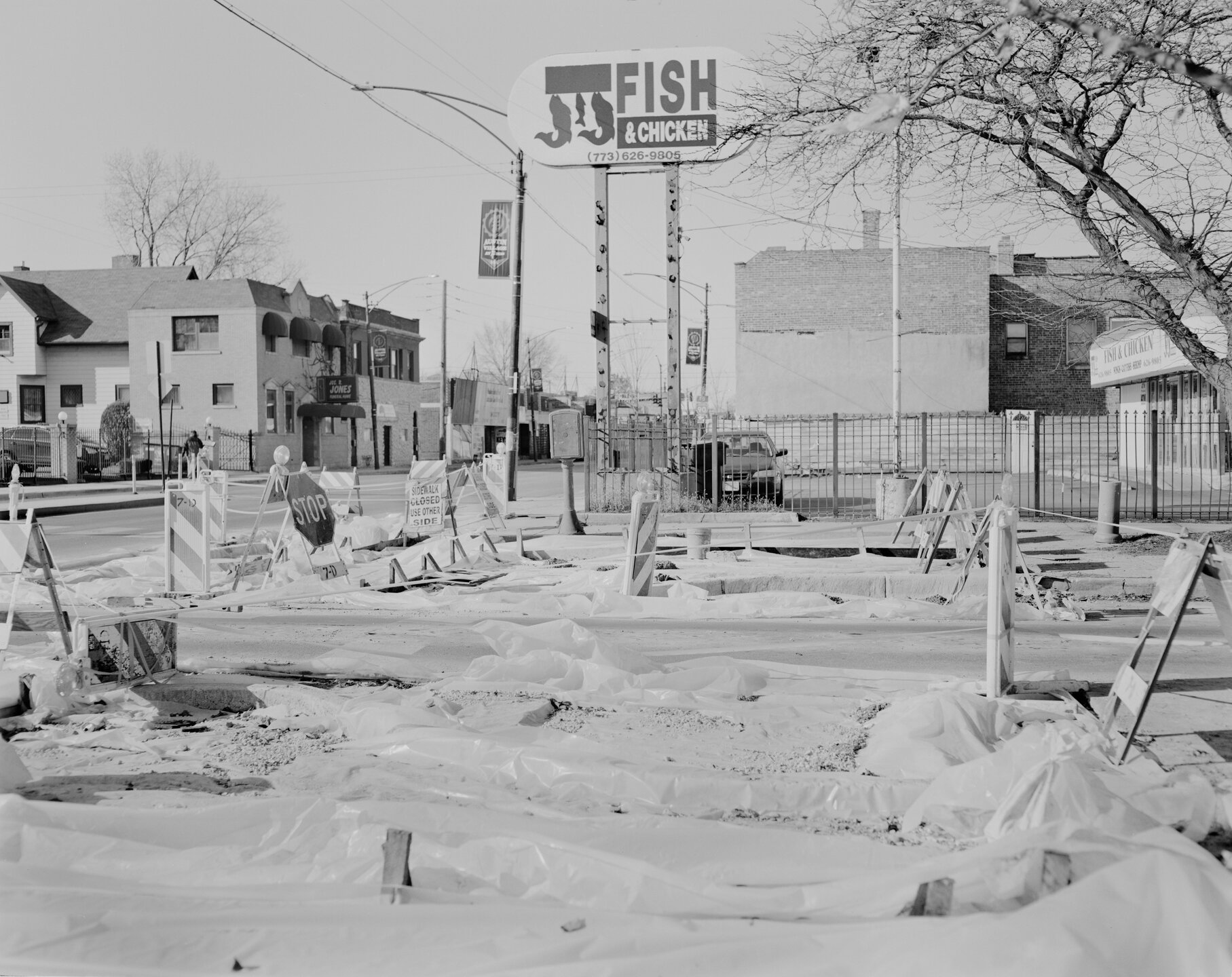 SASHA PHYARS-BURGESS