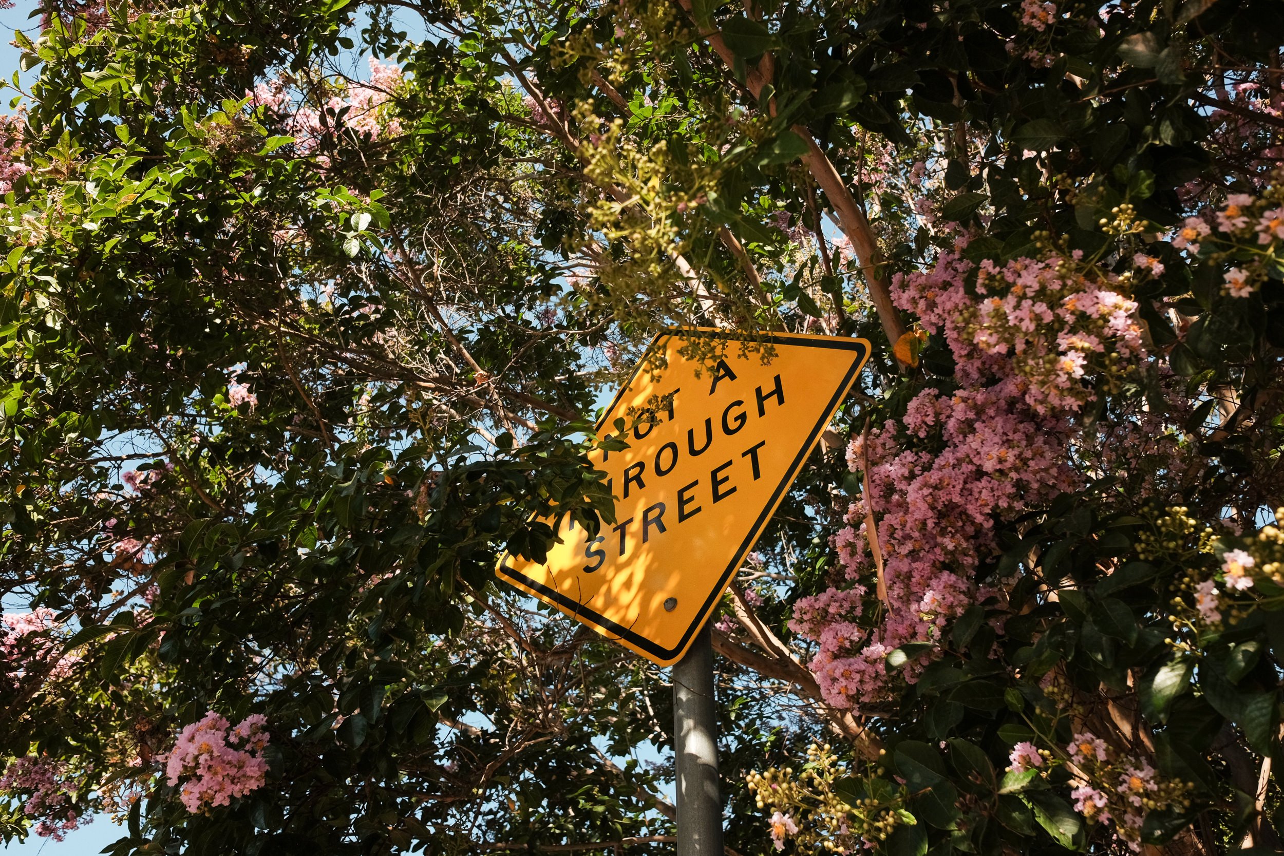 Is the Fujifilm X70 still worth it in 2024? — Reggie Ballesteros