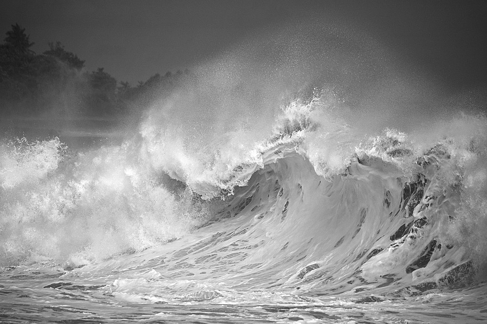 Wave-1.jpg?format=1500w