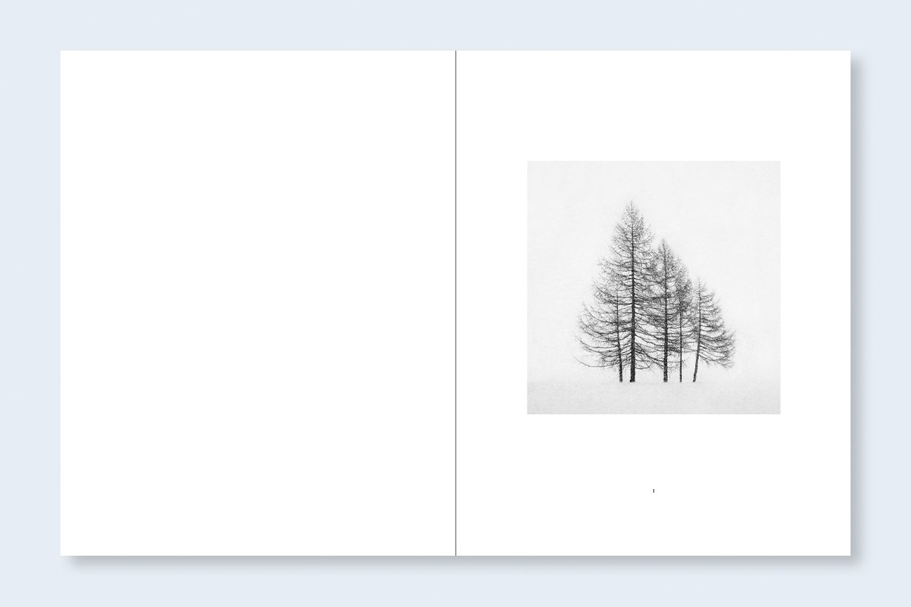 JEFFREY CONLEY | Winter — Nazraeli Press