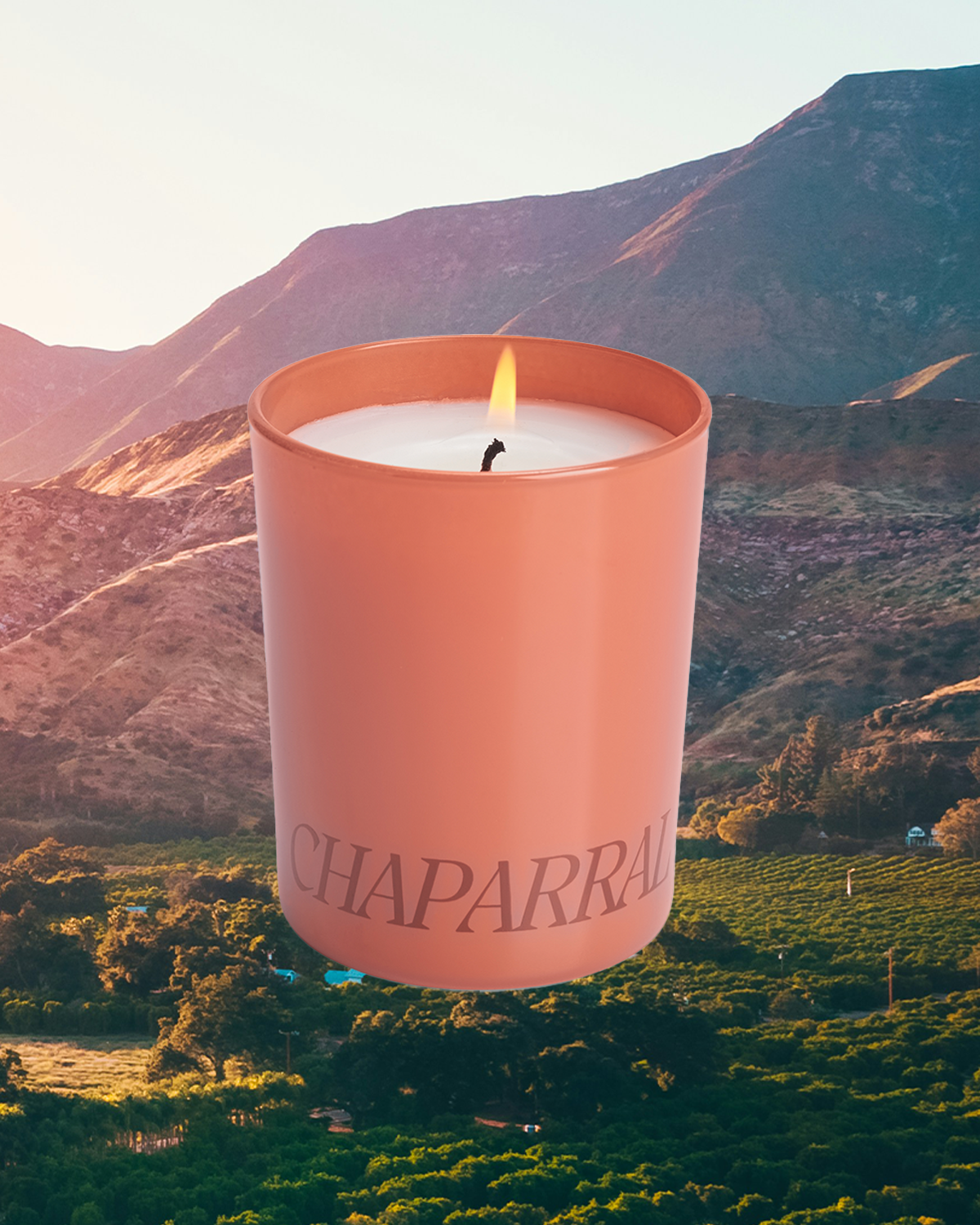 Chaparral Collection — AMBER SAKAI