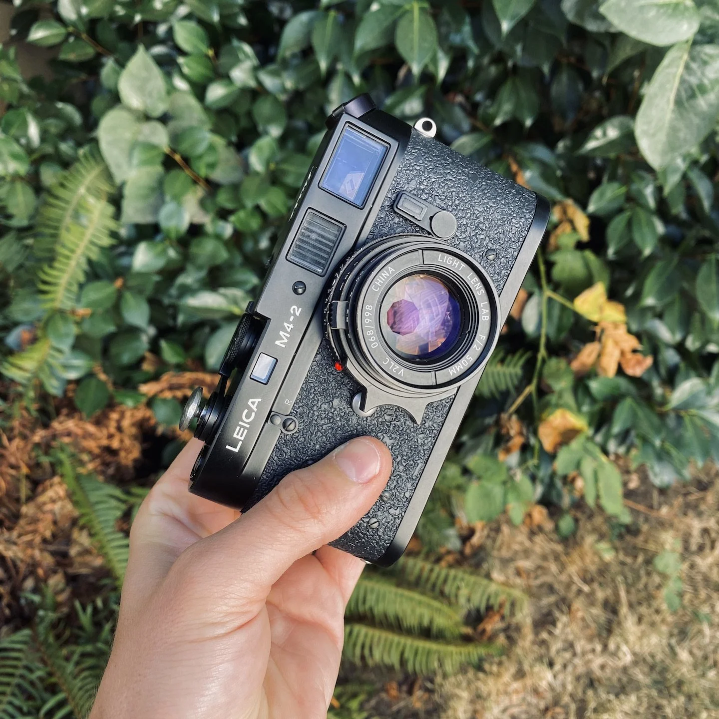 Lens comparison test between the 50mm f2 Elcan Replica and Leitz