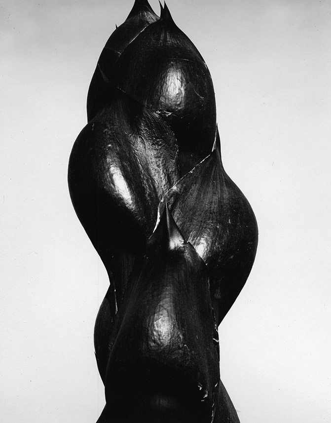 Brett Weston — W E S T O N | G A L L E R Y