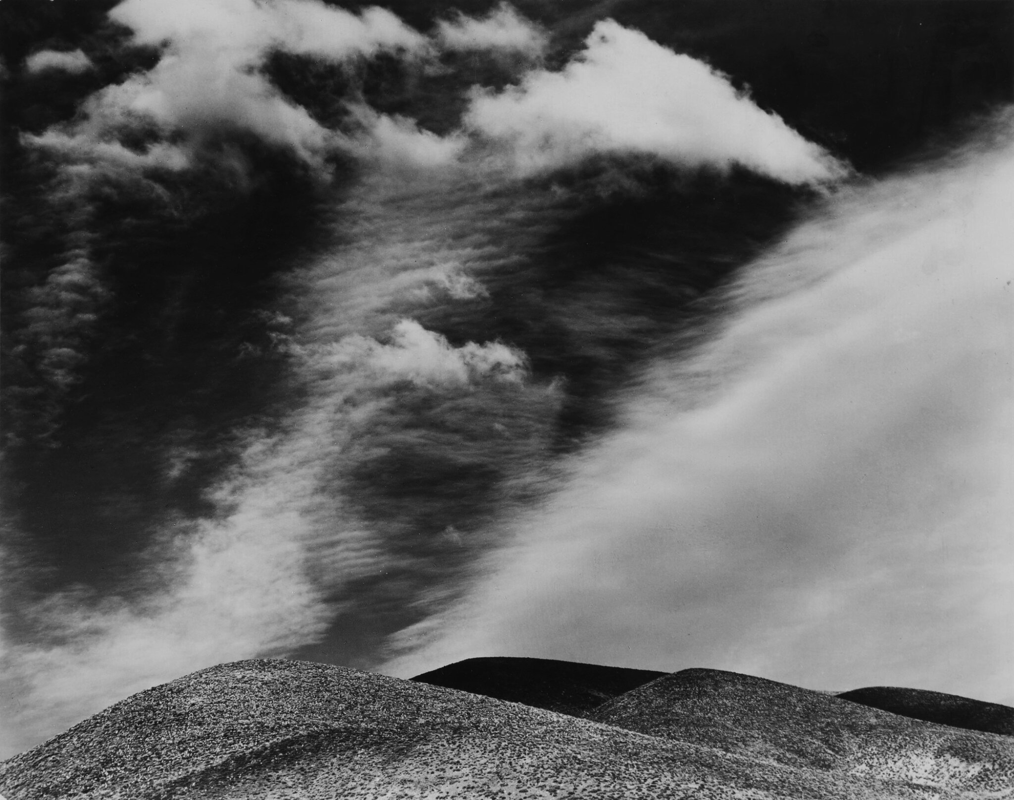 Edward Weston — W E S T O N | G A L L E R Y