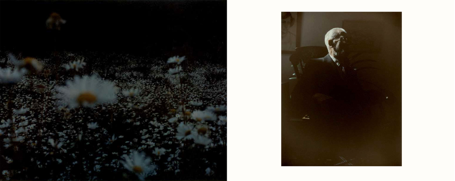 Far Too Close Book-Martina Hoogland Ivanow