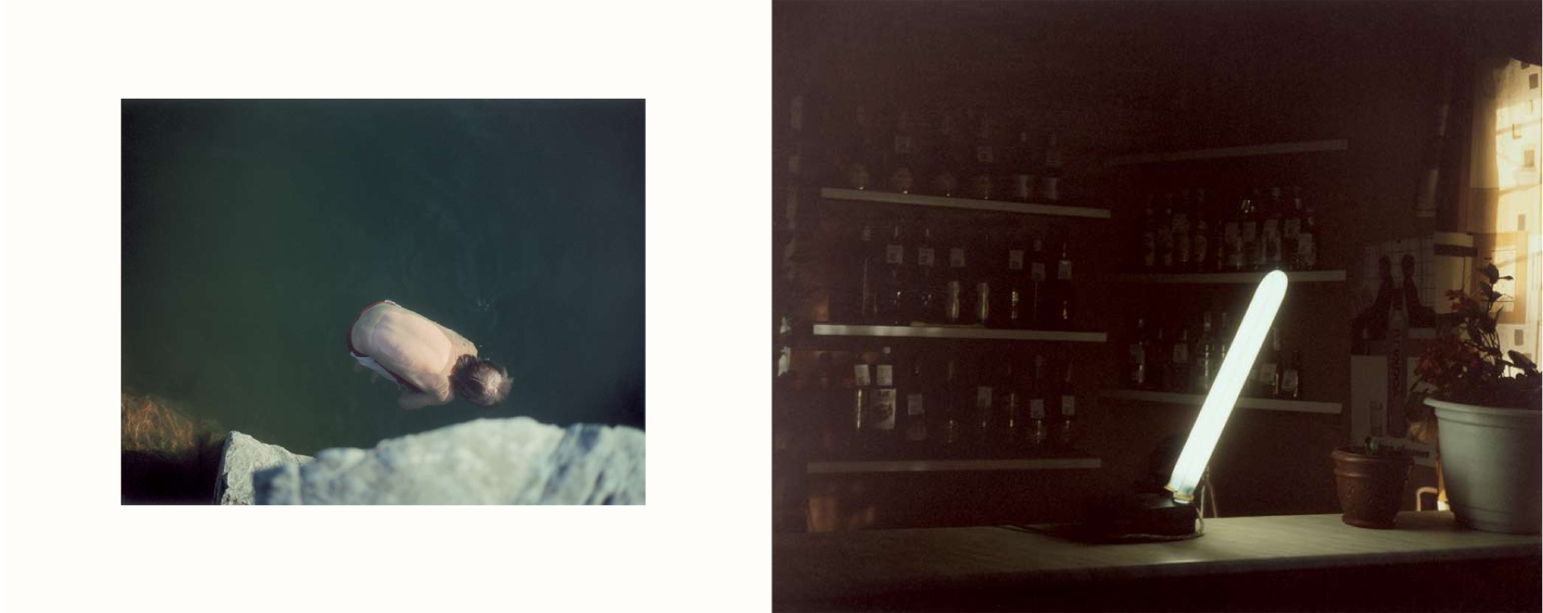 Far Too Close Book-Martina Hoogland Ivanow