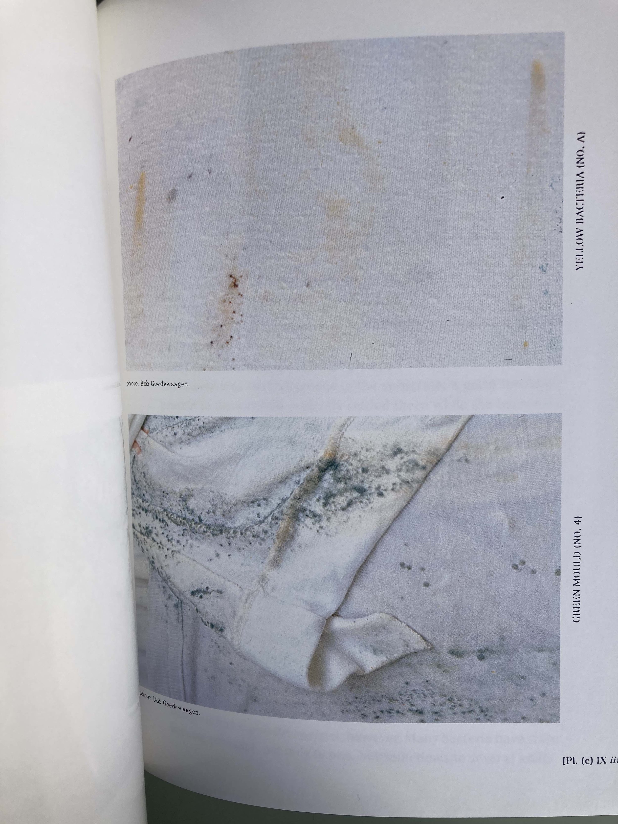 La Maison Martin Margiela: (9/4/1615)（洋書／英語） — Modernist