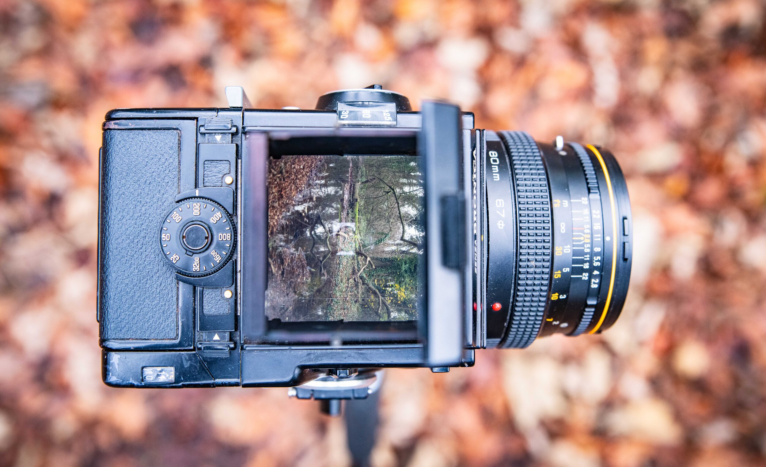 Bronica SQ-A Review — Gregory Owain