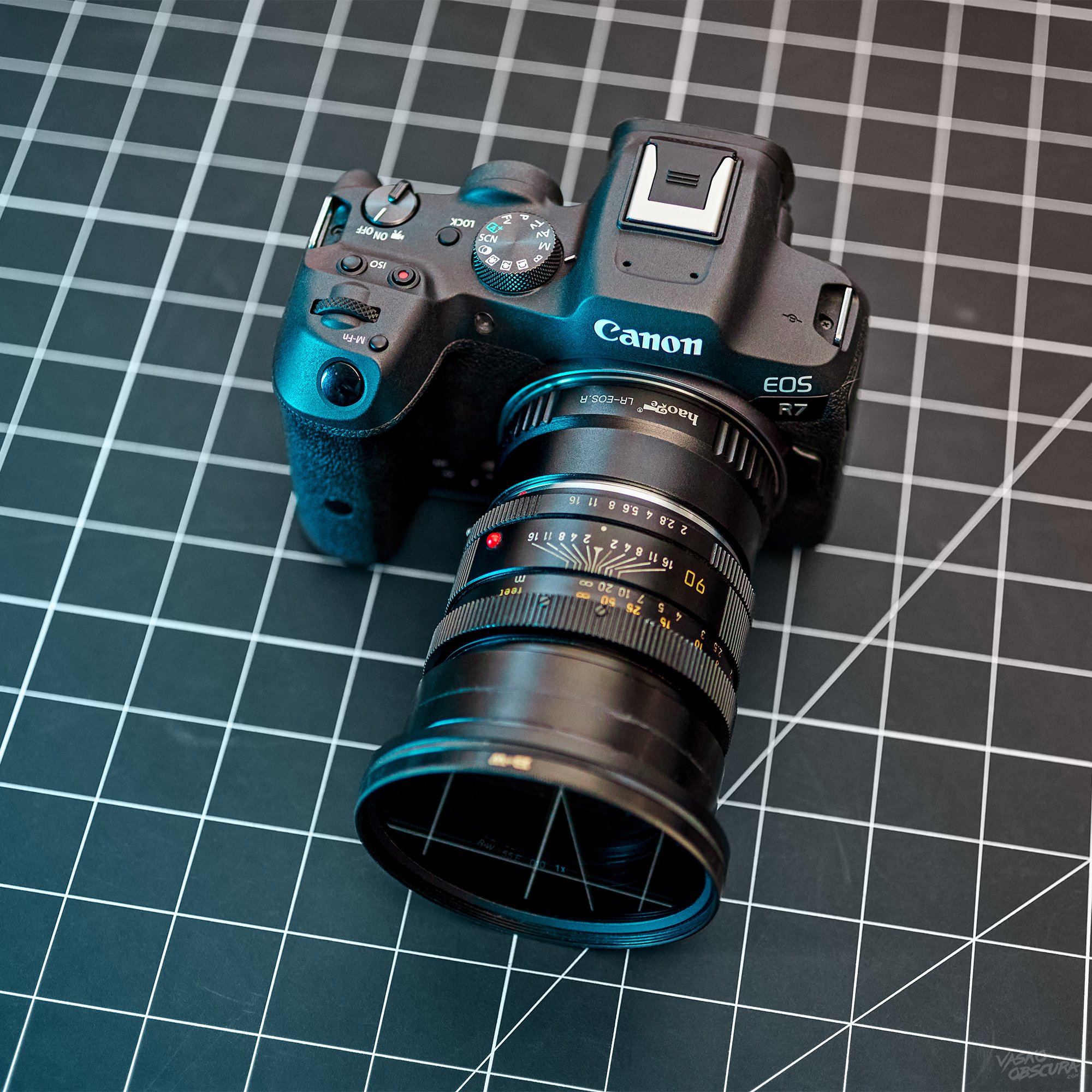 Leica 90mm f2 Summicron R - One Lens Challenge (EOS R7)