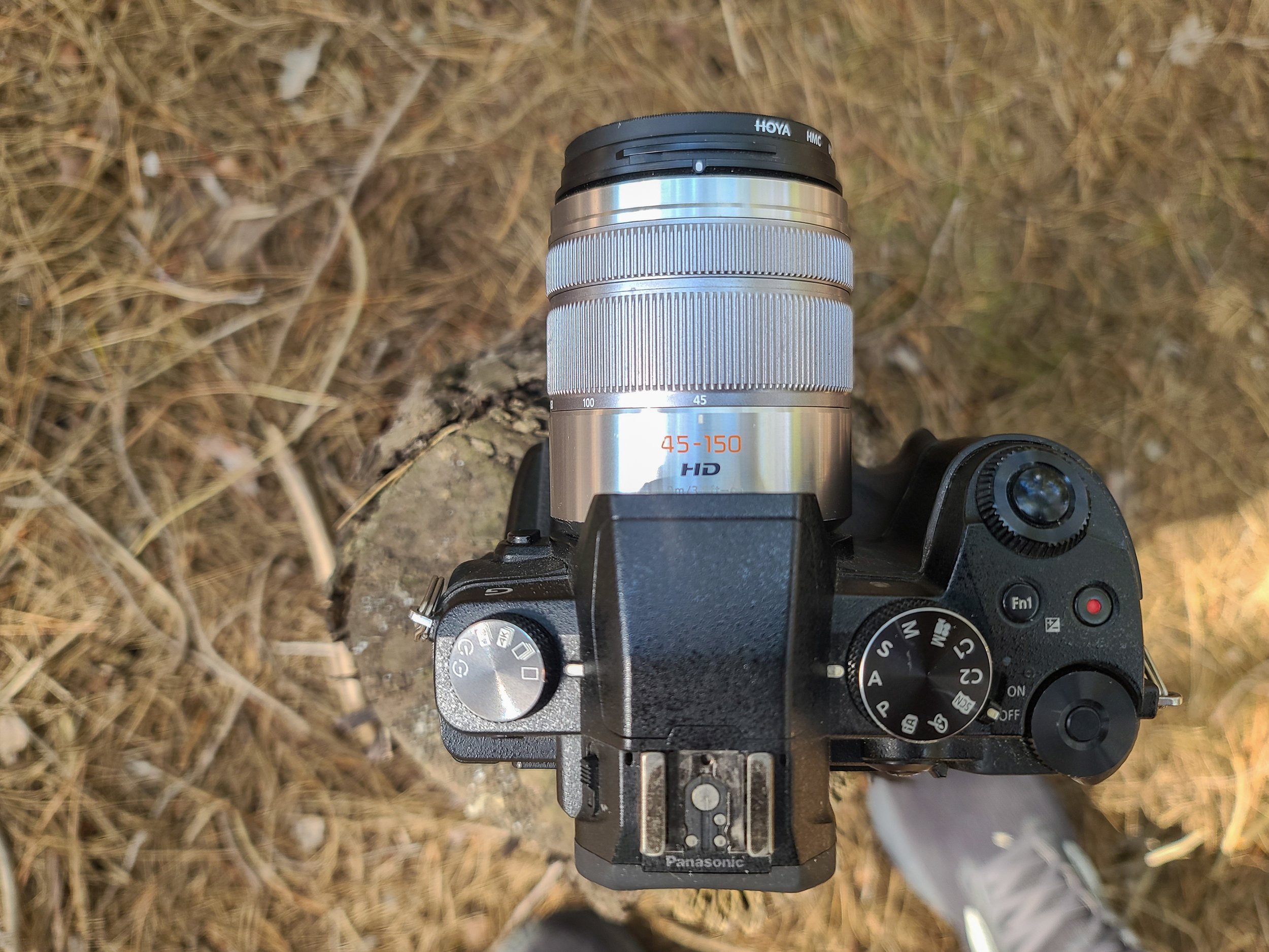 Panasonic Lumix 45-150mm f4.0-5.6 - A Pleasant Surprise - Review