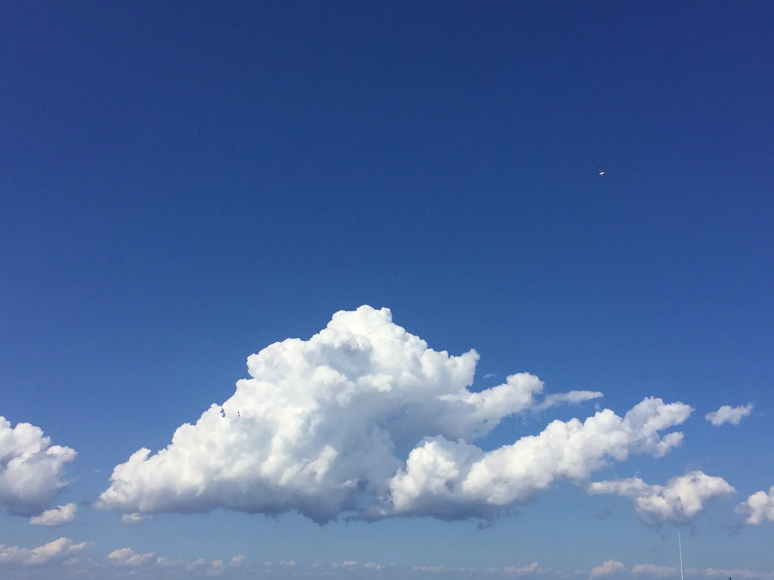 FERROUS — Landscape