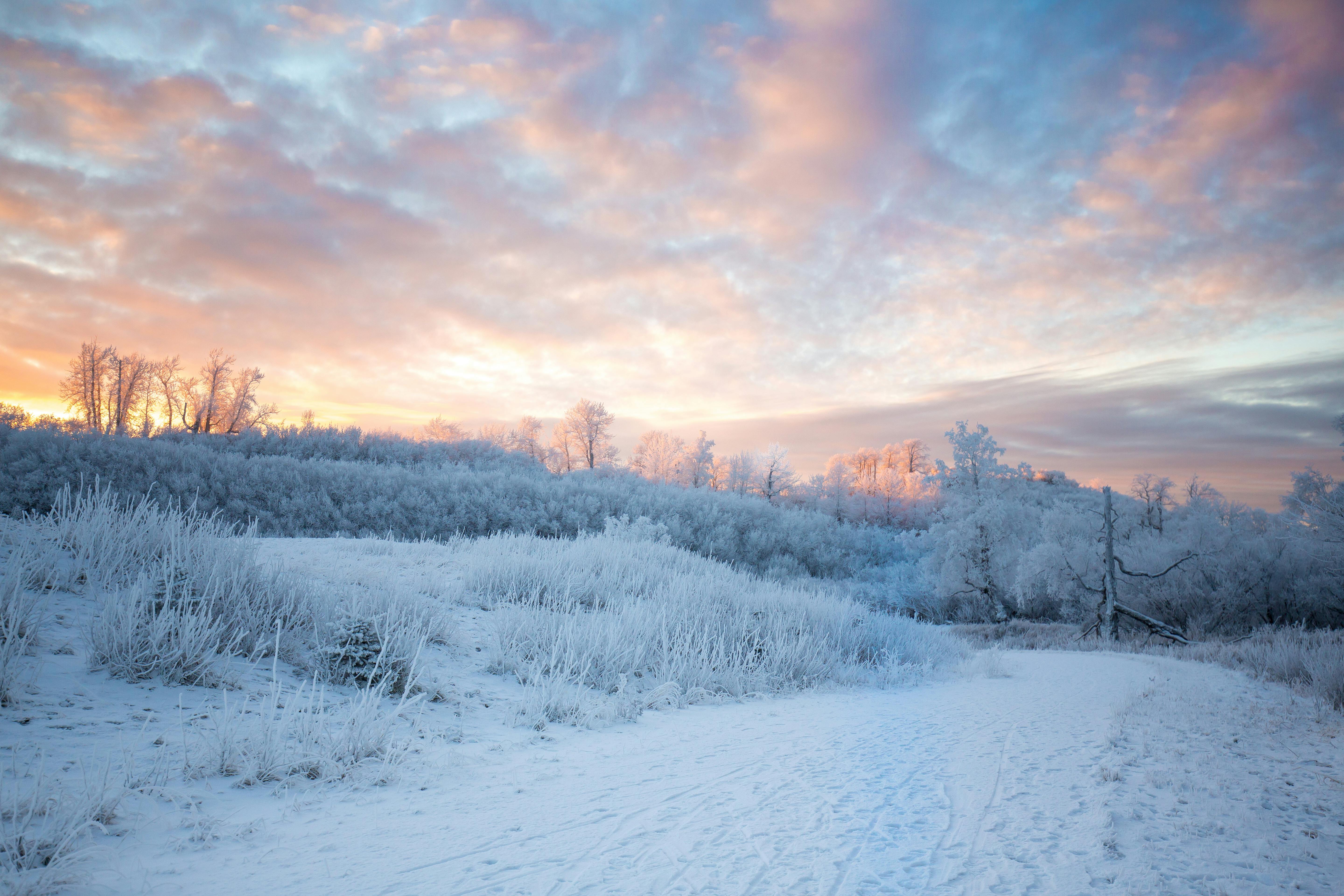 Serene Winter Landscape in Anchorage, Alaska · Free Stock Photo