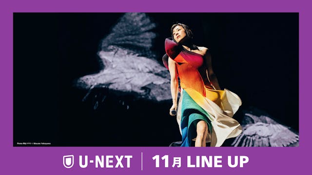 2024年11月の新着配信ラインナップを発表！ 宇多田ヒカルデビュー25