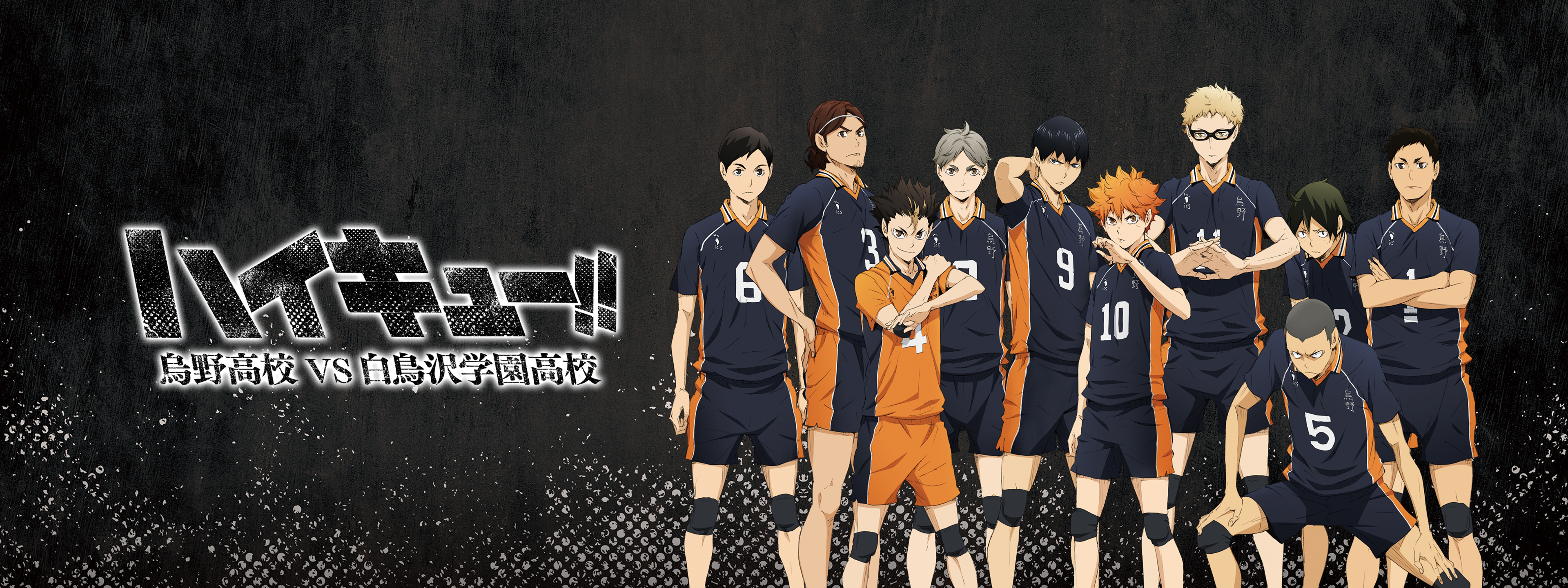 ハイキュー!! 烏野高校 VS 白鳥沢学園高校 | Hulu(フールー)