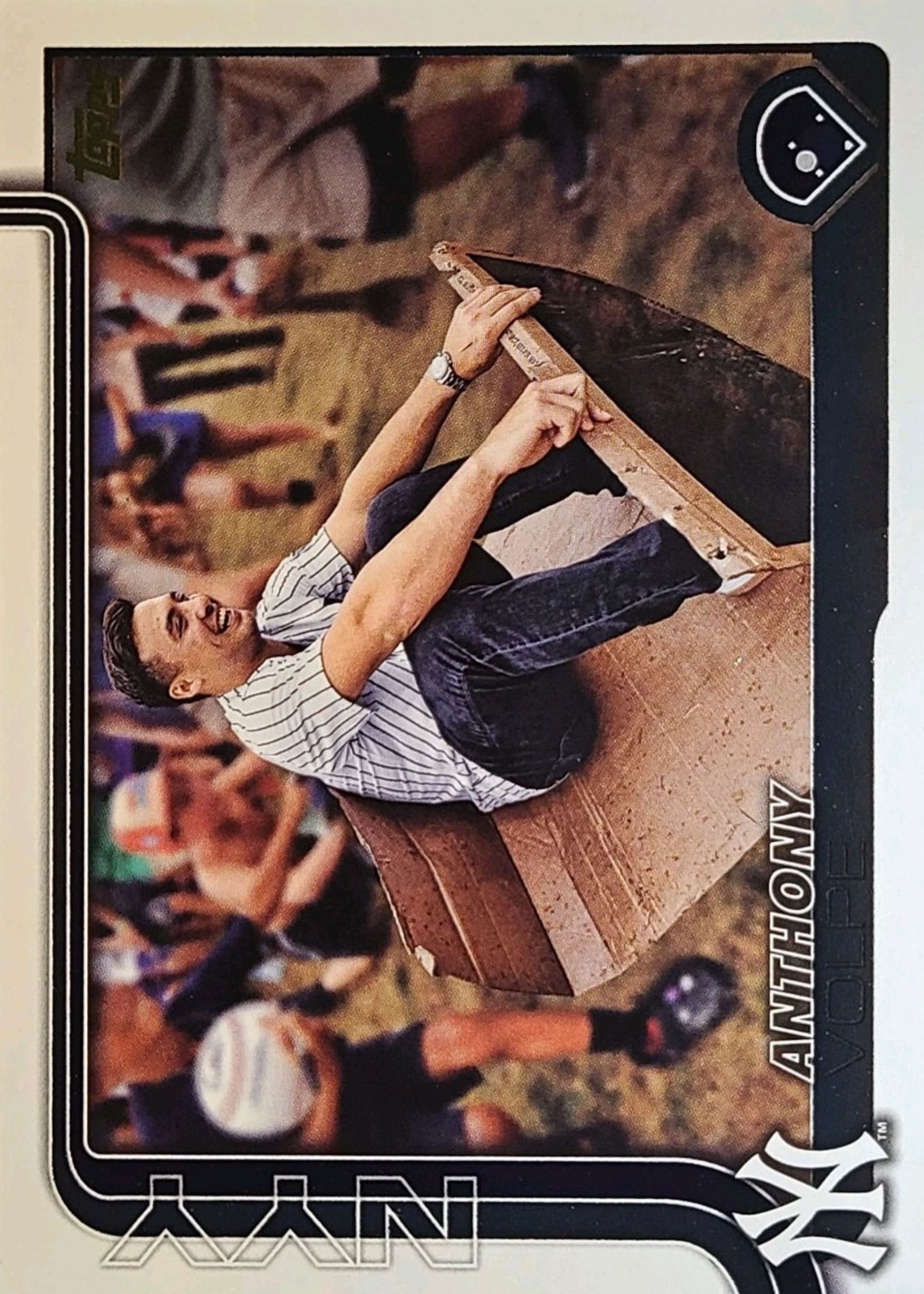 その他 anthony volpe Cherry parallel その他 anthony volpe Cherry