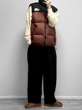 THE NORTH FACEのダウンベスト（ブラウン系）を使った人気ファッション