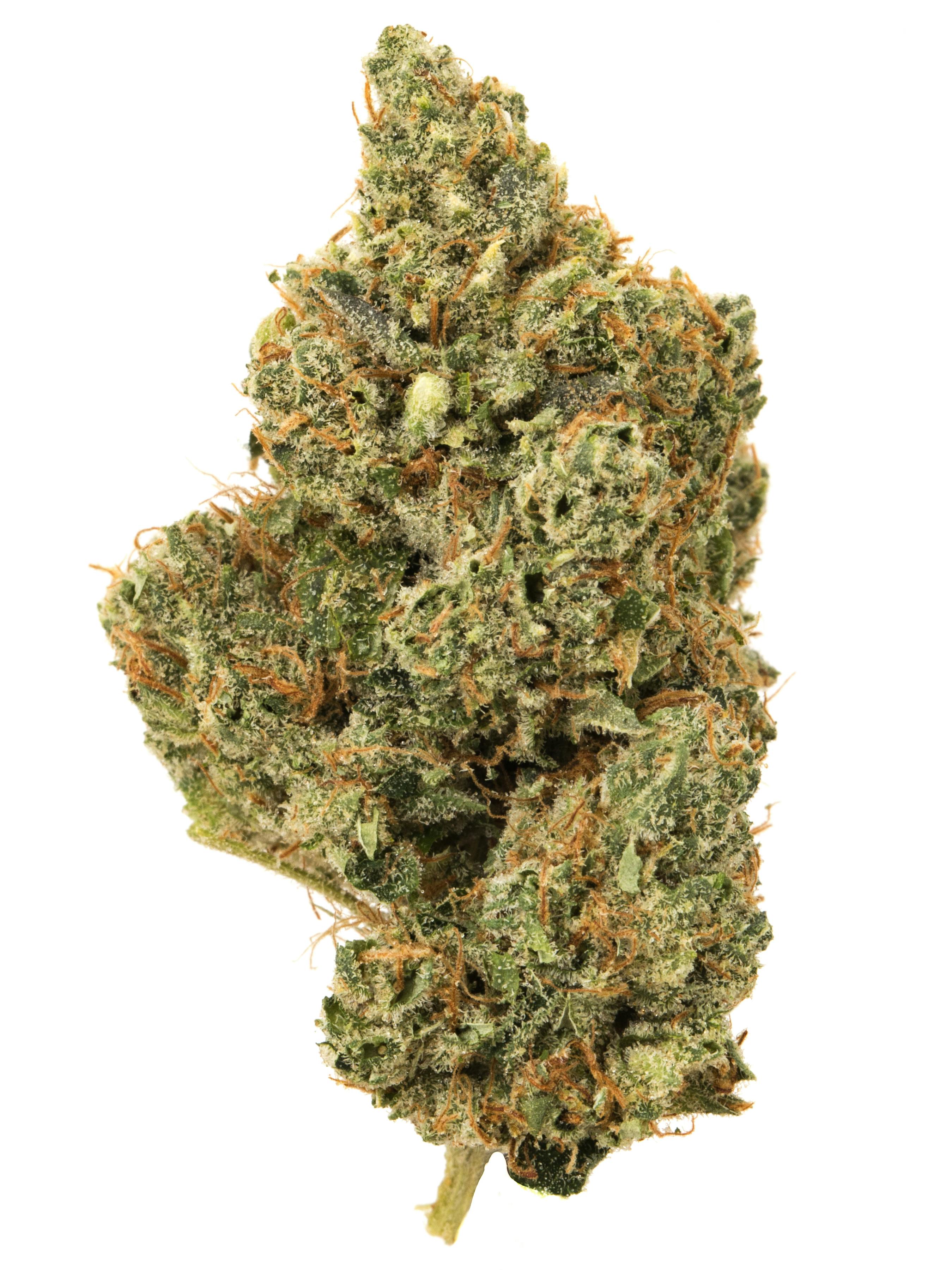 Yoda OG Weed Strain Information | Weedmaps