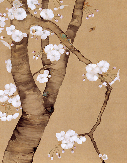 桜狂”の人、笹部新太郎氏の「笹部さくらコレクション」