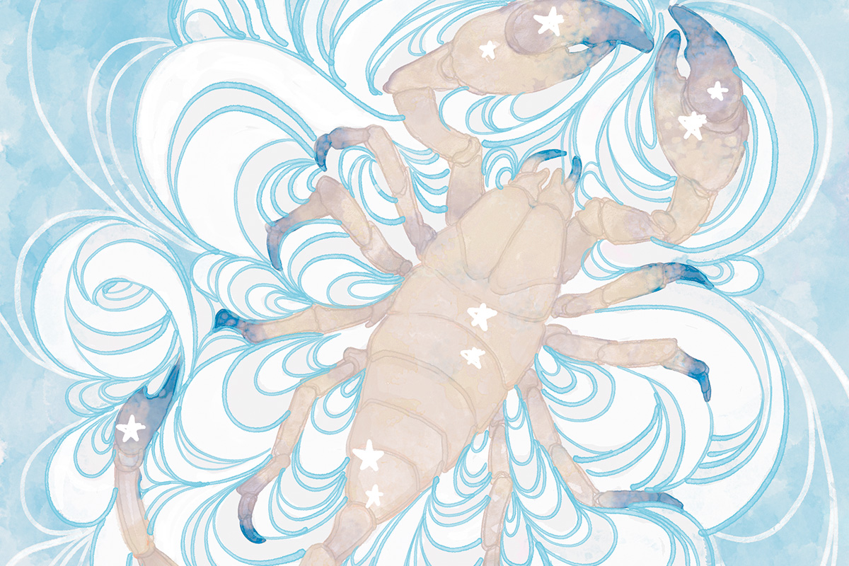 main_image_9193e1cff338a870eca