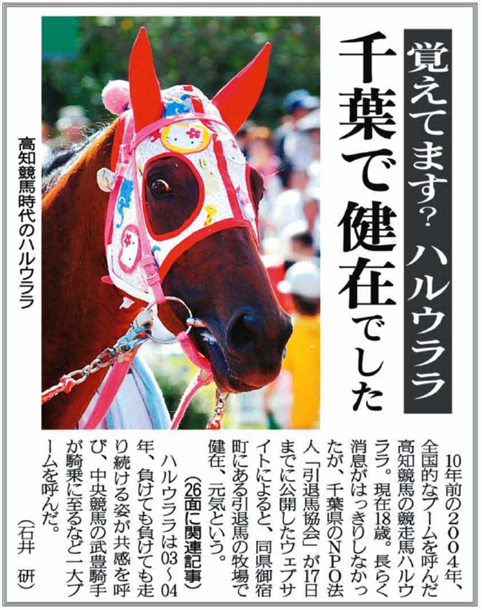 ハルウララ馬券高知競馬武豊単勝競馬お守り汚れ多少有。