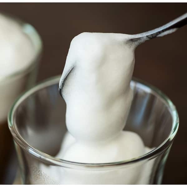 SOLAC Stainless Steel Milk Frother and Hot Chocolate Mixer SPF500