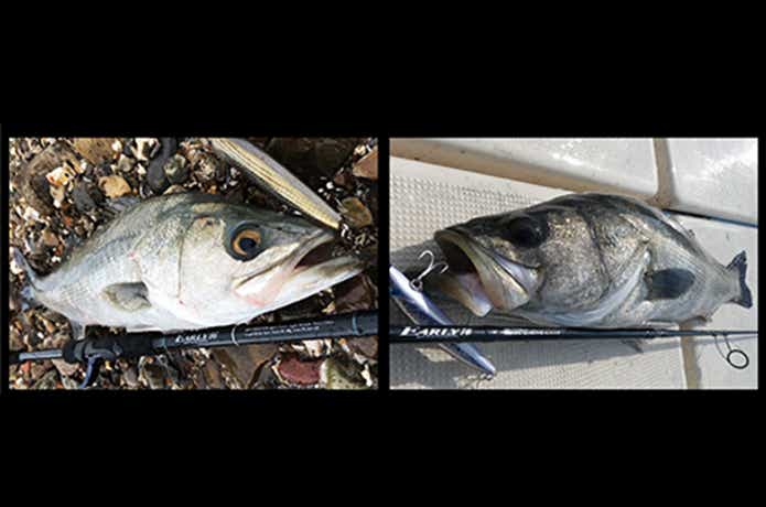 ヤマガブランクスのEARLY（アーリー）シリーズに、携帯性の高い「for