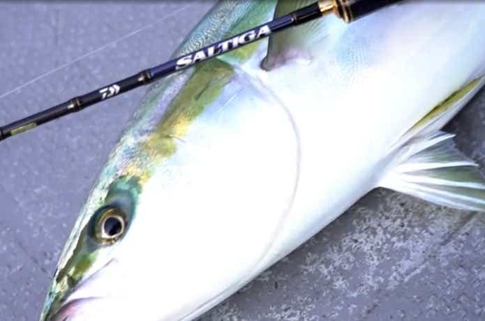 ダイワのライトジギングロッドの最高峰、技術の粋を集めた「ソルティガ