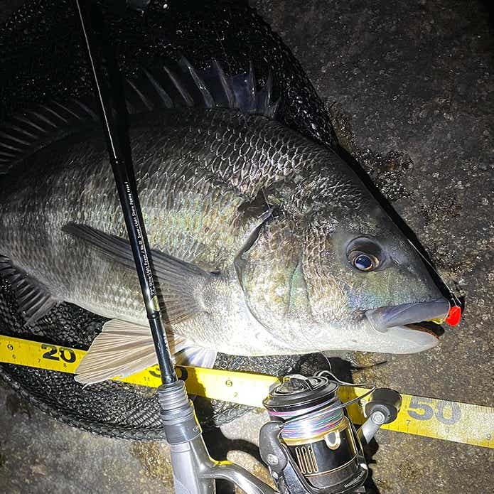 アピア グランデージ ライト 72をインプレ｜※もう1本買うほど気に入っ