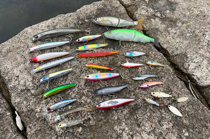 徹底検証】おすすめのシーバスルアー26選！水中映像&飛距離を比較