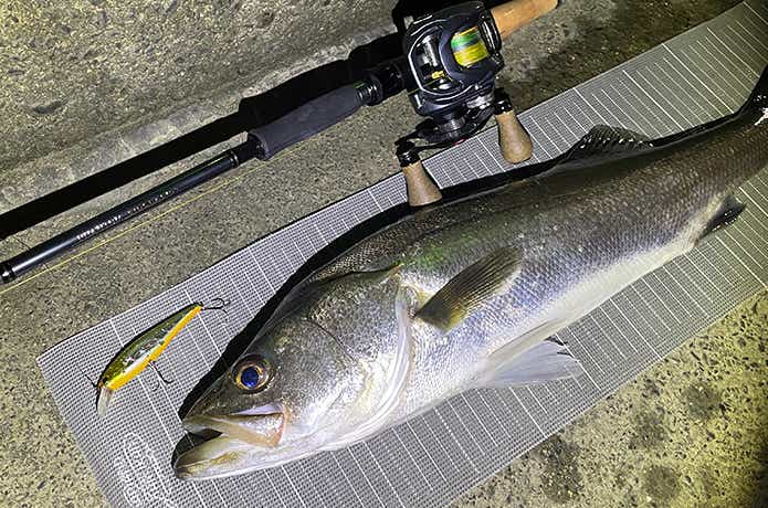 ファントムリベラリスト803M+RSBを実釣インプレ。万能ベイトロッドの