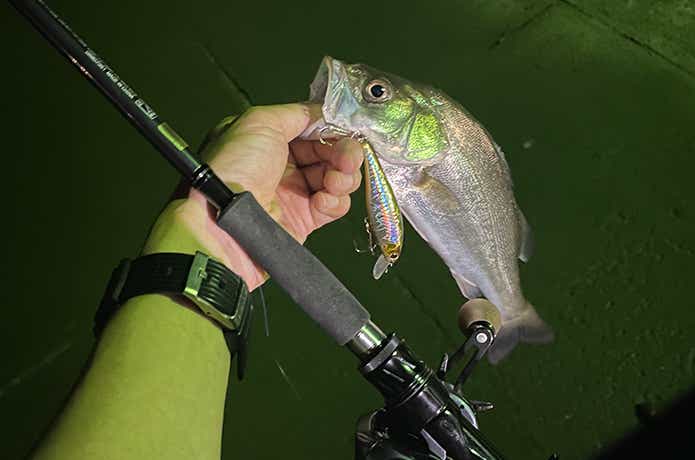 ファントムリベラリスト803M+RSBを実釣インプレ。万能ベイトロッドの