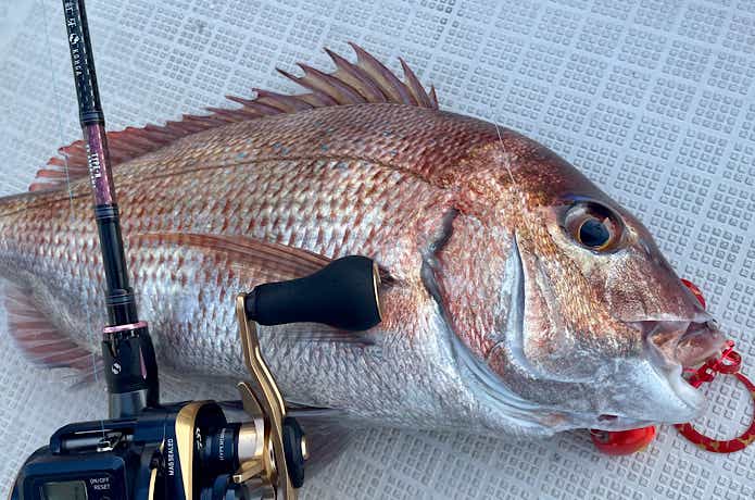 紅牙 EXを実釣インプレ！使ってわかったフラッグシップモデルの魅力と