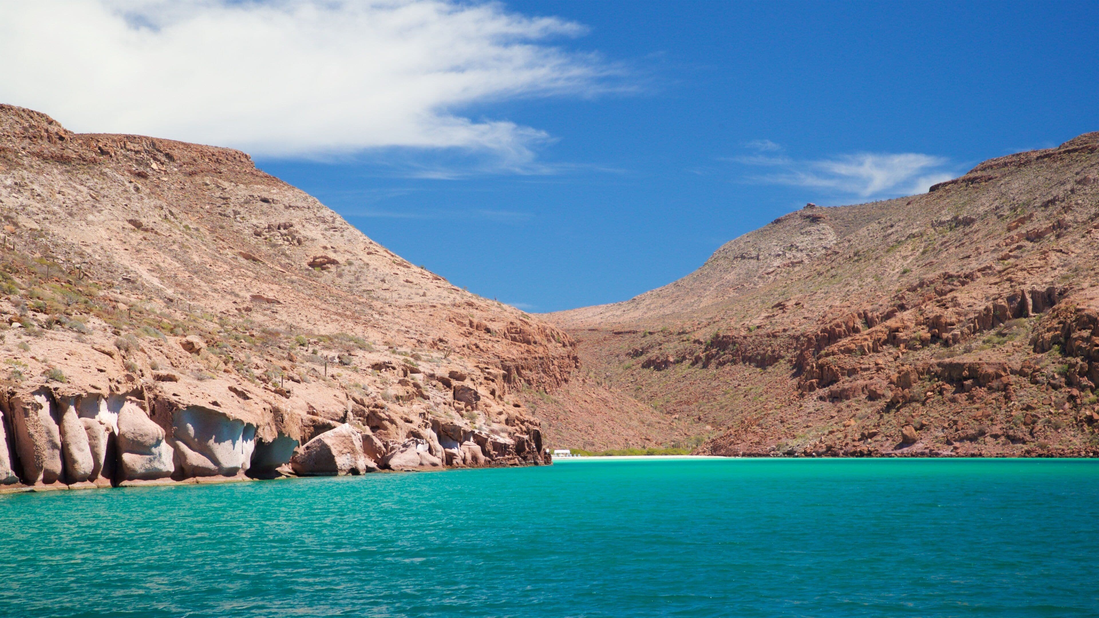 エスピリト サント島観光ガイド～定番人気スポットを参考に自分に