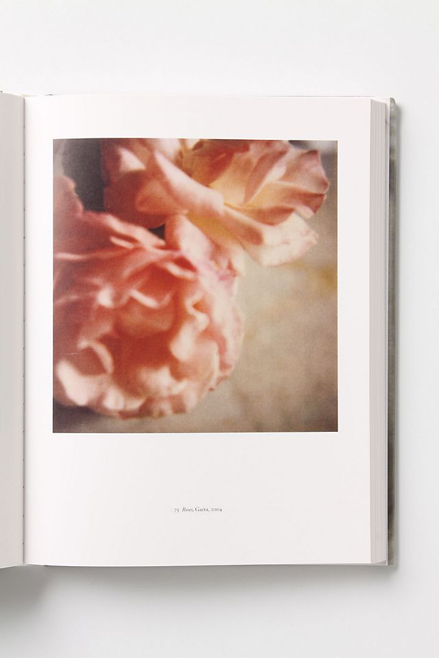 Cy Twombly: Photographs 1951 - 2007 | Anthropologie