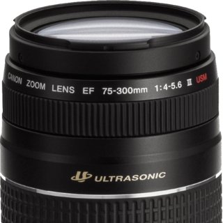 Canon EF 50mm F/1.8 II vs Canon EF 75-300mm F/4-5.6 III: Qual a