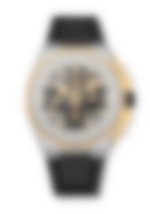 ZENITH デファイ エクストリーム カール コックス - 45.00mm, マイクロ