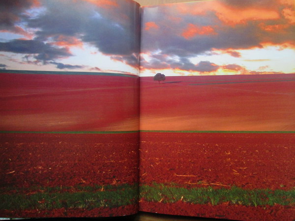 Florin Andreescu - Romania. Anotimpuri, seasons, saisons (album