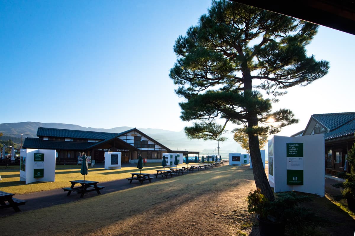 KAWABA NEW-NATURE PHOTO AWARD 2016」審査員に上田義彦、石川直樹ら