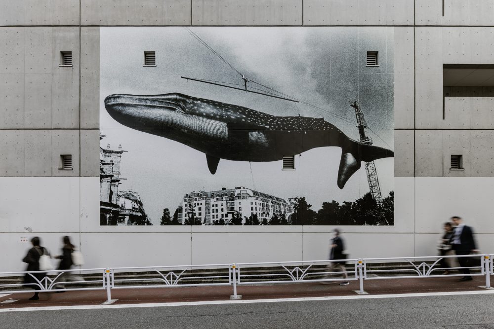 森山大道の巨大クジラ写真が渋谷のパブリックアートに！ | NEWS | IMA