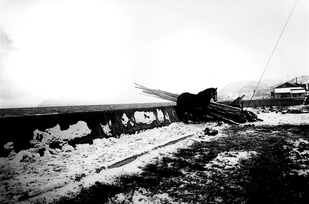 森山大道を聴く！山本精一のニューアルバムリリース | NEWS | IMA ONLINE