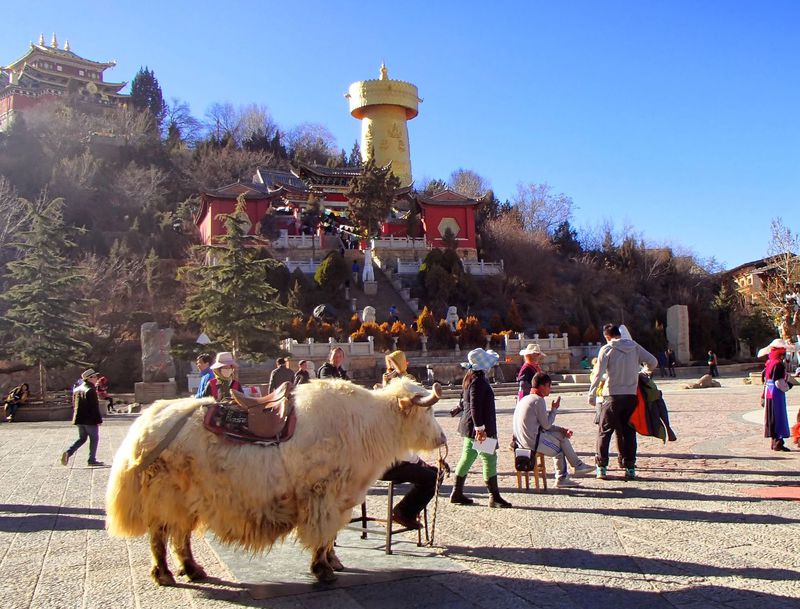 地上の楽園「シャングリラ」チベット文化が香る旧市街を訪ねて | 中国