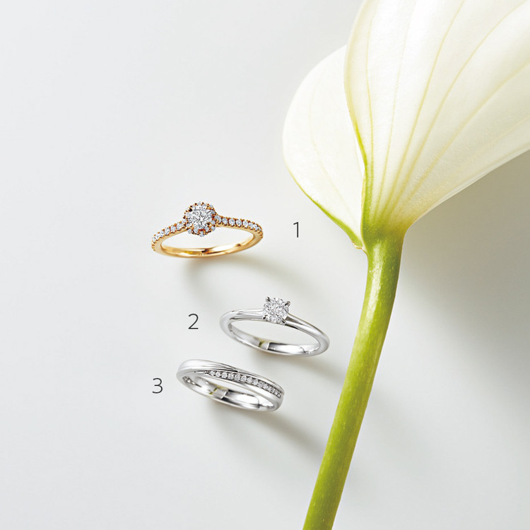 マリハ、ジジ、デビアス フォーエバーマーク、トーカティブ。個性豊か