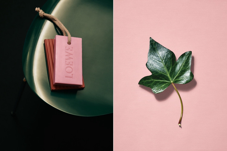 ロエベ】初夏のボディケアに最適！ ロエベ ホーム センツにアイビーの